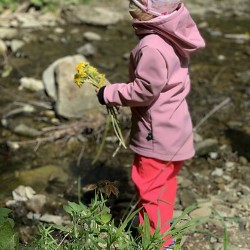 Kinder Softshelljacke rosa